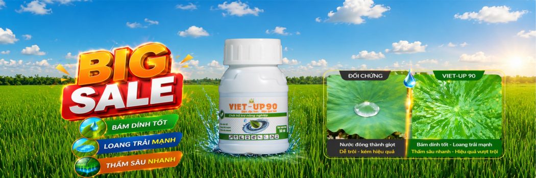 Diệt cỏ mùa mưa – Làm sao để thuốc không bị rửa trôi?