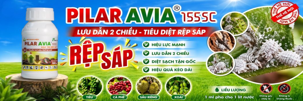 Tác hại của rệp sáp đối với cây trồng và năng suất nông sản