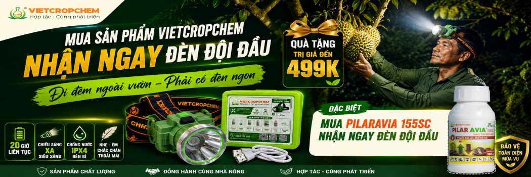 Viet-up 90 khác với các loại phụ gia bám dính khác trên thị trường như thế nào mà nông dân tin tưởng sử dụng?
