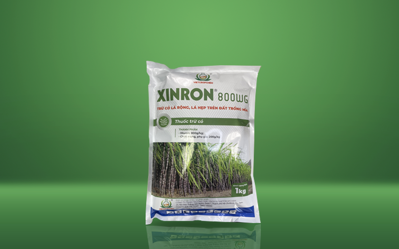 XINRON 800WG